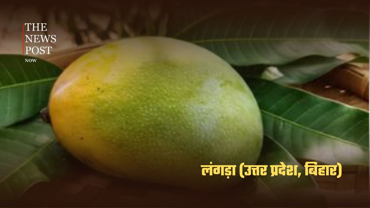 भारत के सबसे लोकप्रिय आम, जानिए किस राज्य की है कौन-सी पहचान - Photo 7