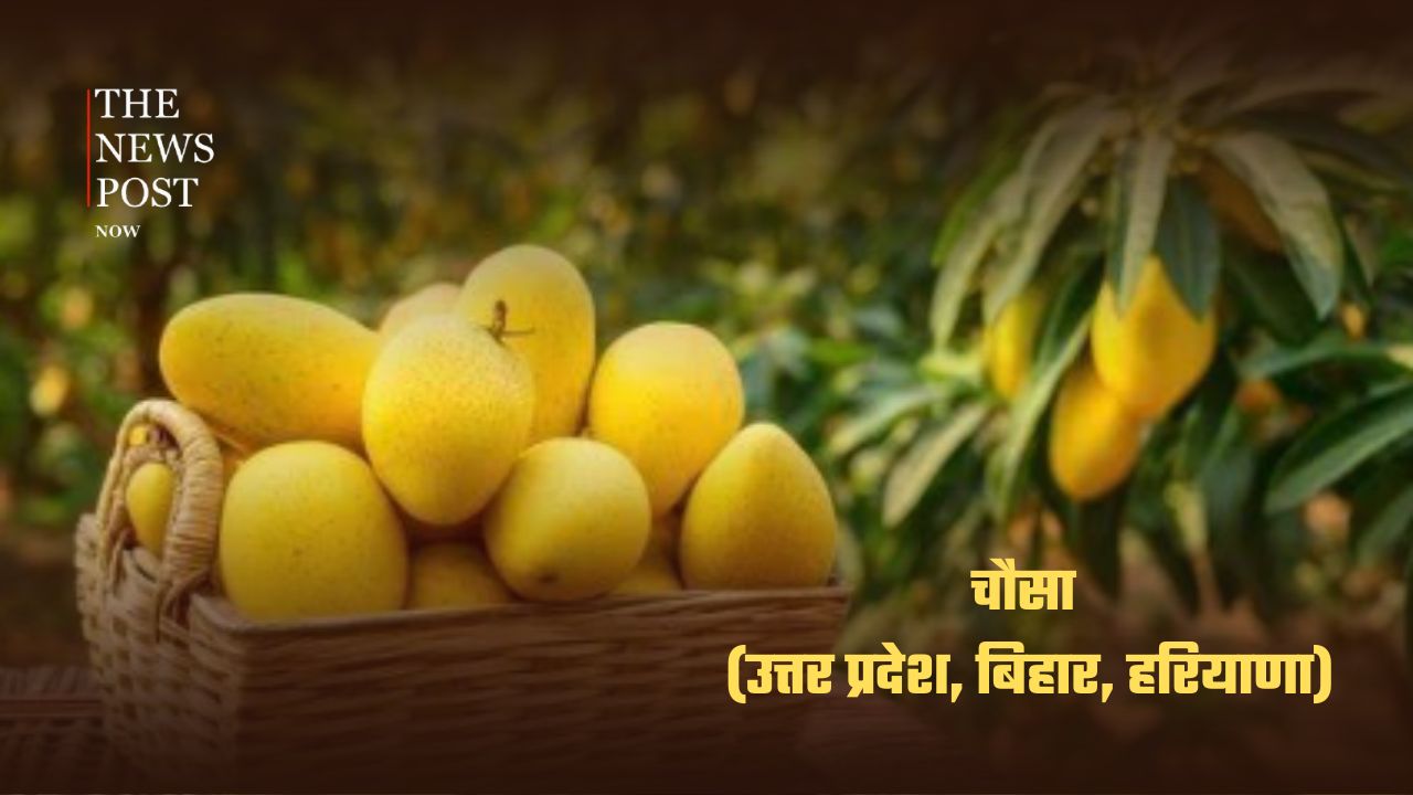 भारत के सबसे लोकप्रिय आम, जानिए किस राज्य की है कौन-सी पहचान - Photo 8