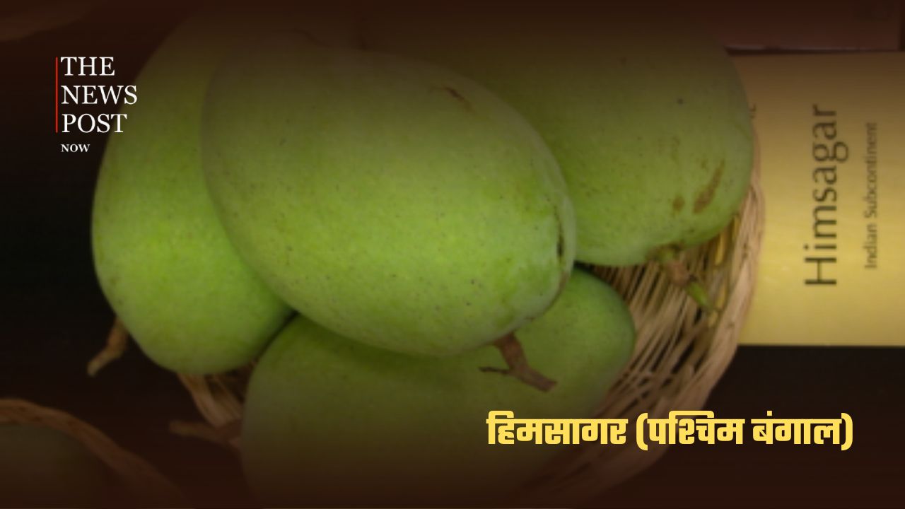 भारत के सबसे लोकप्रिय आम, जानिए किस राज्य की है कौन-सी पहचान - Photo 9