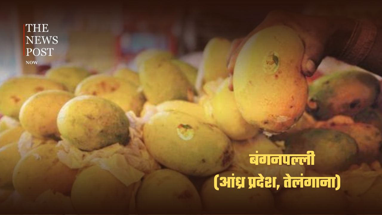 भारत के सबसे लोकप्रिय आम, जानिए किस राज्य की है कौन-सी पहचान - Photo 10