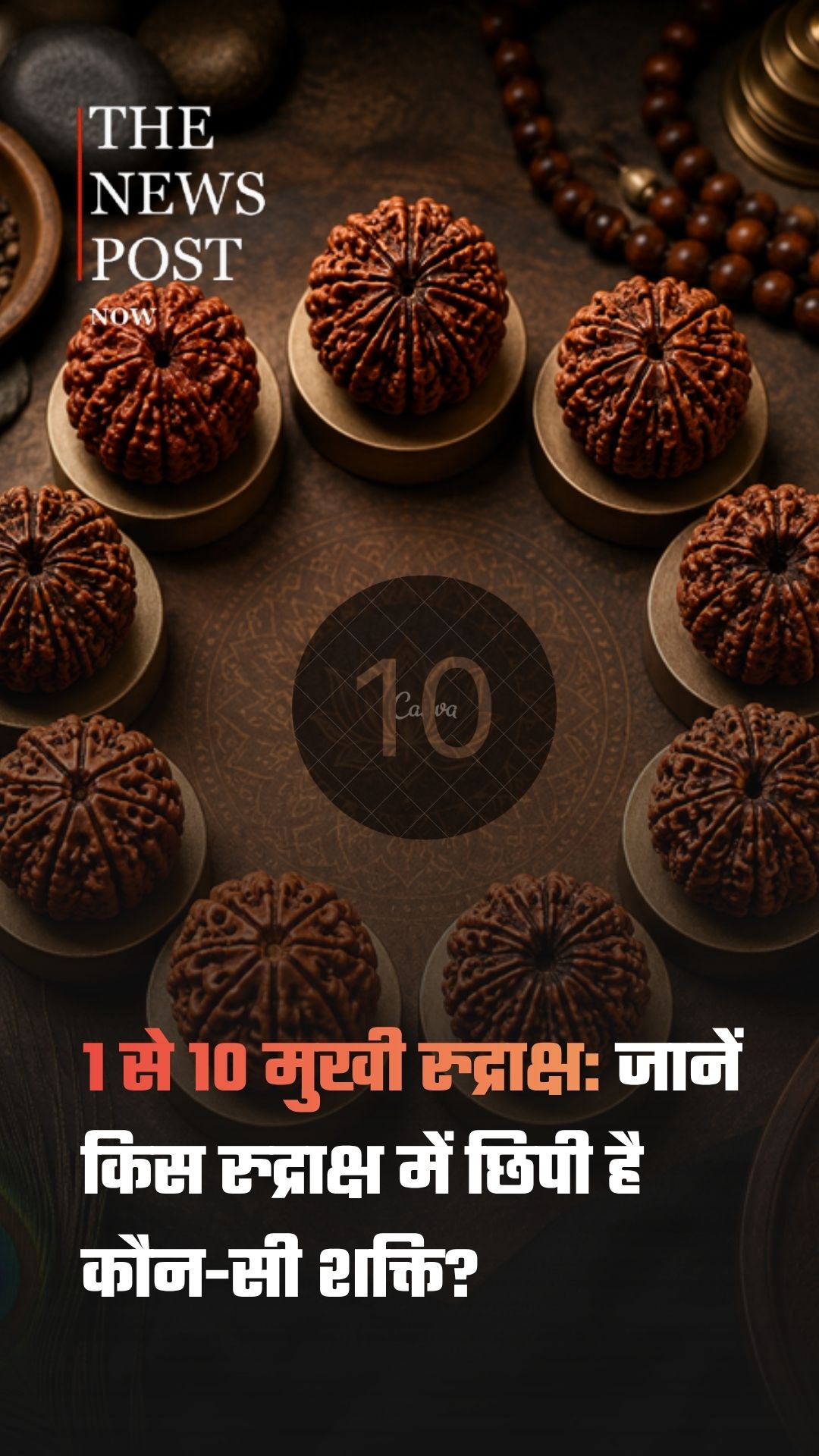1 से 10 मुखी रुद्राक्ष: हर मुखी की अलग शक्ति, जानें किस रुद्राक्ष से मिलेगा कौन-सा लाभ