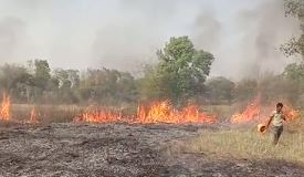 पलामू में फिर खेतों में लगी आग, हुसैनाबाद के खेखसाही में लाखों के सामान हो गए खाक