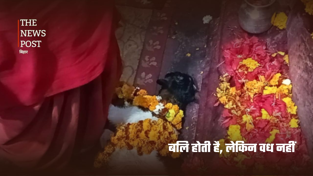 भारत का सबसे प्राचीन जीवित मंदिर! जहां आज भी सांस लेता है हजारों साल का इतिहास - Photo 5