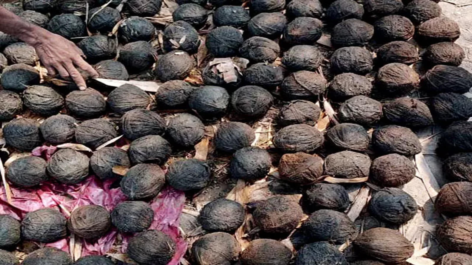 बीरभूम हिंसा: बंगाल पुलिस का कई जगहों पर छापा, भारी मात्रा में हथियार और गोला बारूद्ध बरामद