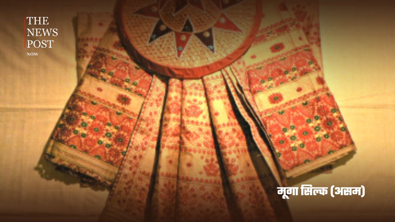 National Handloom Day special: भारत की 10 सबसे प्रसिद्ध हैंडलूम बुनाइयाँ, जानिए क्यों हैं दुनिया भर में मशहूर - Photo 8