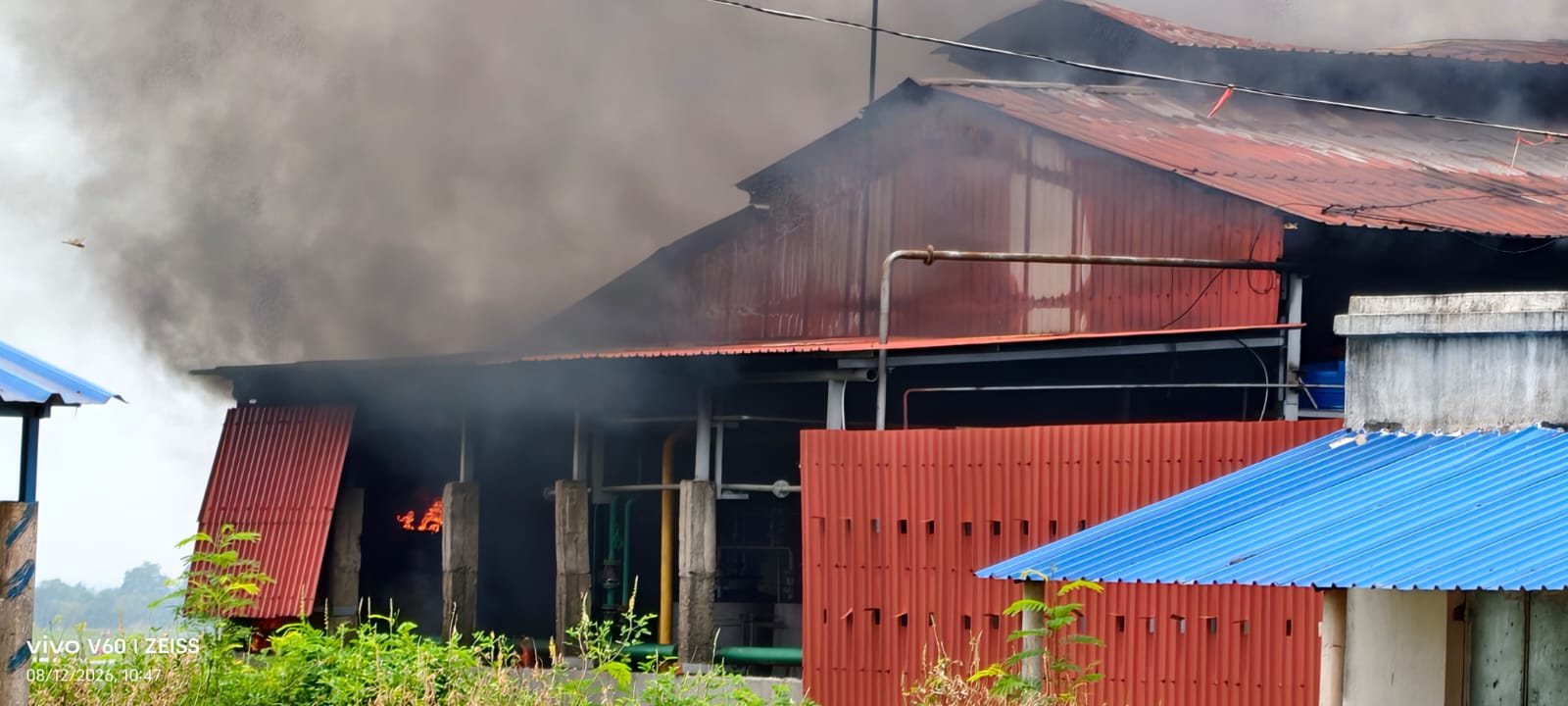 डॉक्टरों की अपील, डोंट बी पैनिक, ताबड़-तोड़ टेस्ट और दवाओं से बचें
