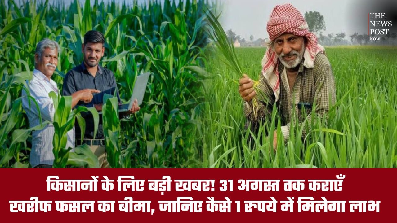 किसानों के लिए बड़ी खबर! 31 अगस्त तक काराएं खरीफ फसल का बीमा, जानिए कैसे 1 रुपये में मिलेगा लाभ