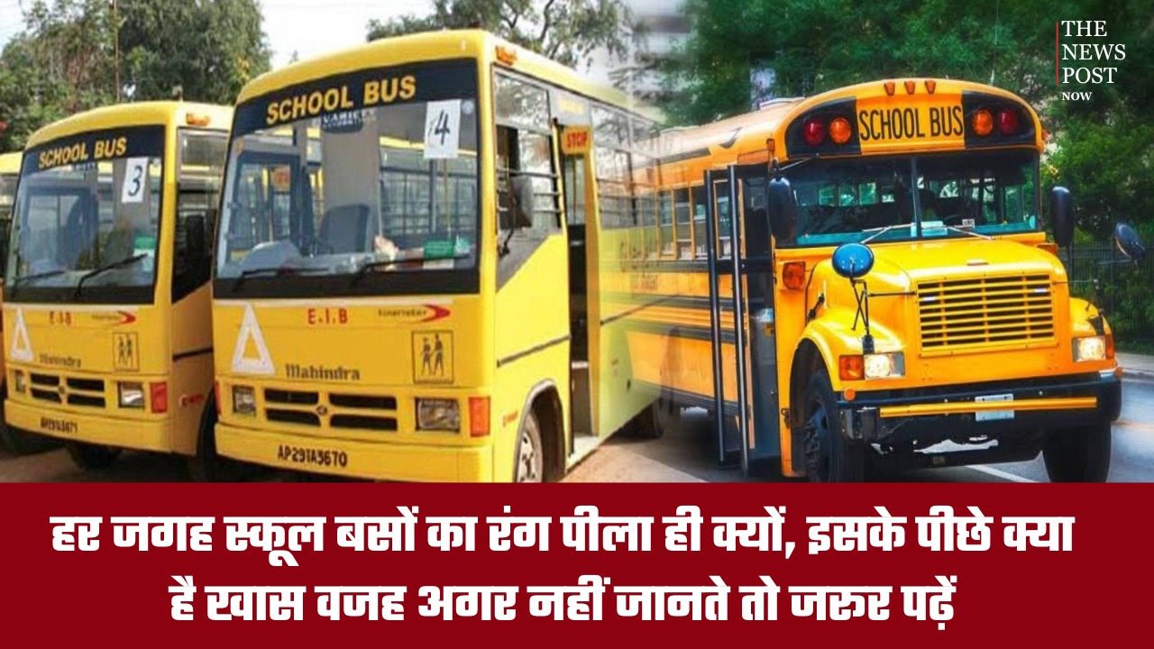हर जगह स्कूल बसों का रंग पीला ही क्यों, इसके पीछे क्या है खास वजह, पढ़िए