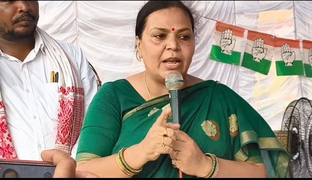 2029 में राहुल गांधी  बनेंगे पीएम, निजीकरण की गई कंपनियों का होगा राष्ट्रीयकरण : दीपिका पांडेय सिंह