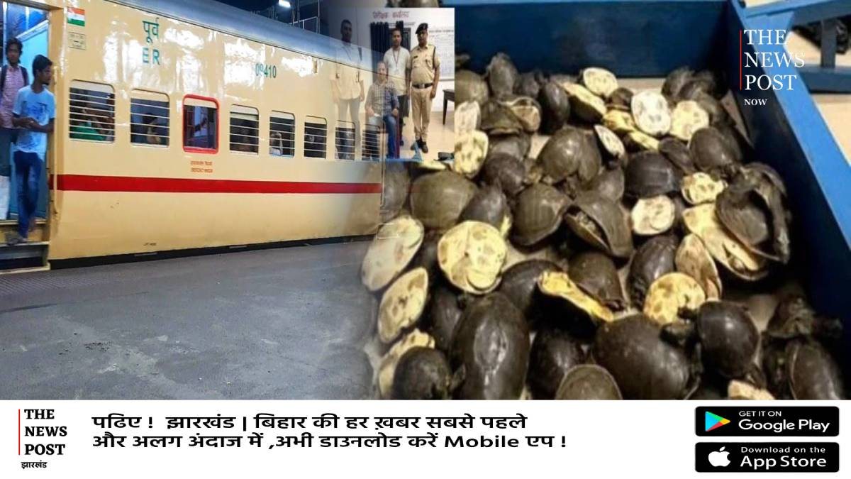 धनबाद के रास्ते कछुए की तस्करी :दून एक्सप्रेस के महिला कोच से 120 कछुए बरामद