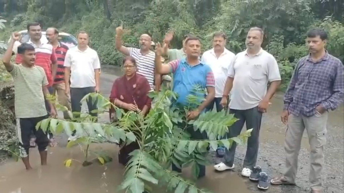 जमशेदपुर में जर्जर सड़क का अनोखा विरोध, लोगों ने गड्ढों में लगाए पेड़