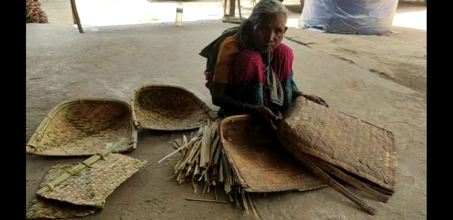 80 वर्षीय आदिवासी वृद्दा को नहीं मिल रहा कोई लाभ, खुद मेहनत कर भर रही पेट