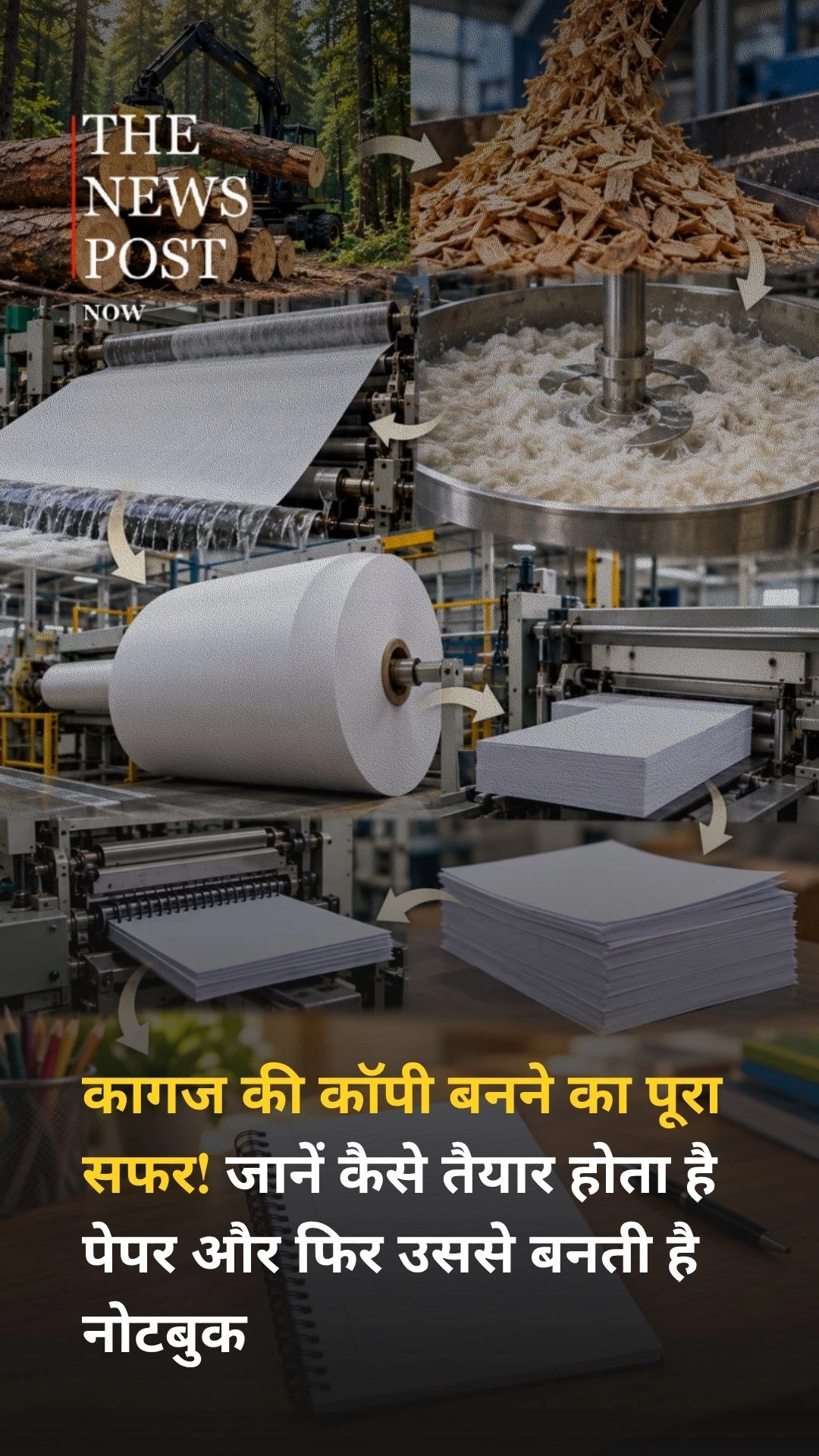 कागज की कॉपी बनने का पूरा सफर! जानें कैसे तैयार होता है पेपर और फिर उससे बनती है नोटबुक