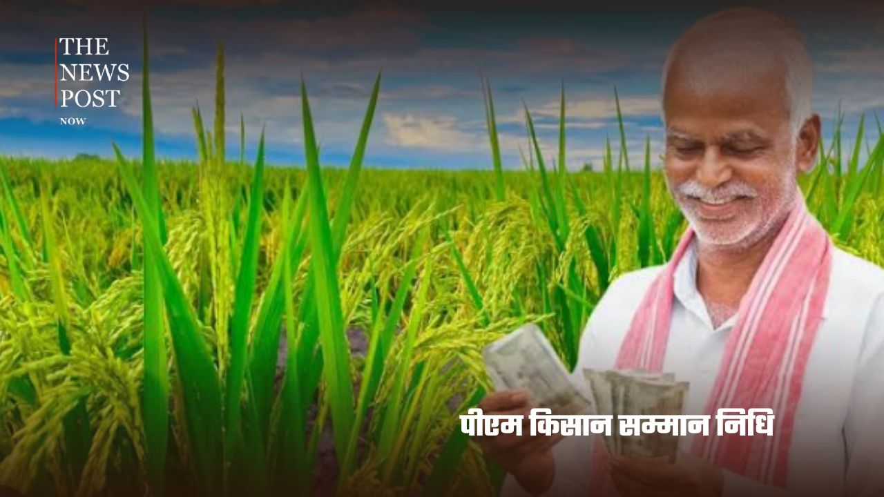 PM मोदी के जन्मदिन पर जानिए केंद्र सरकार की 10 प्रमुख योजनाएं और उनके फायदे - Photo 5