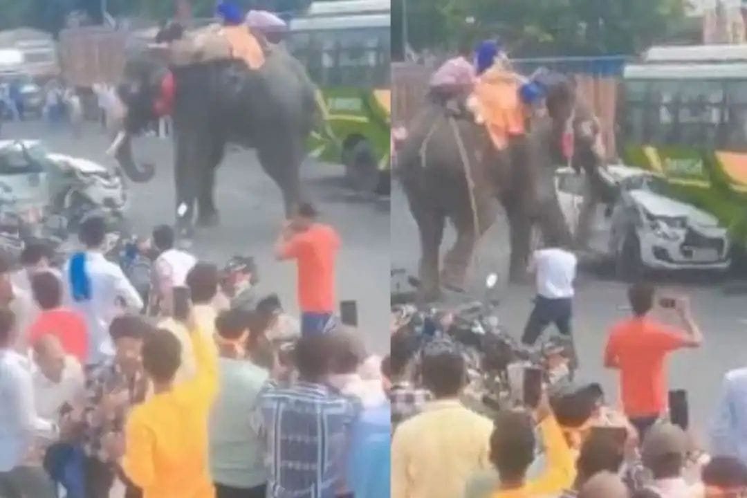 बीच सड़क हाथी का तांडव, देखते ही देखते कार का बना दिया कबाड़, Video देखकर रह जाएंगे दंग