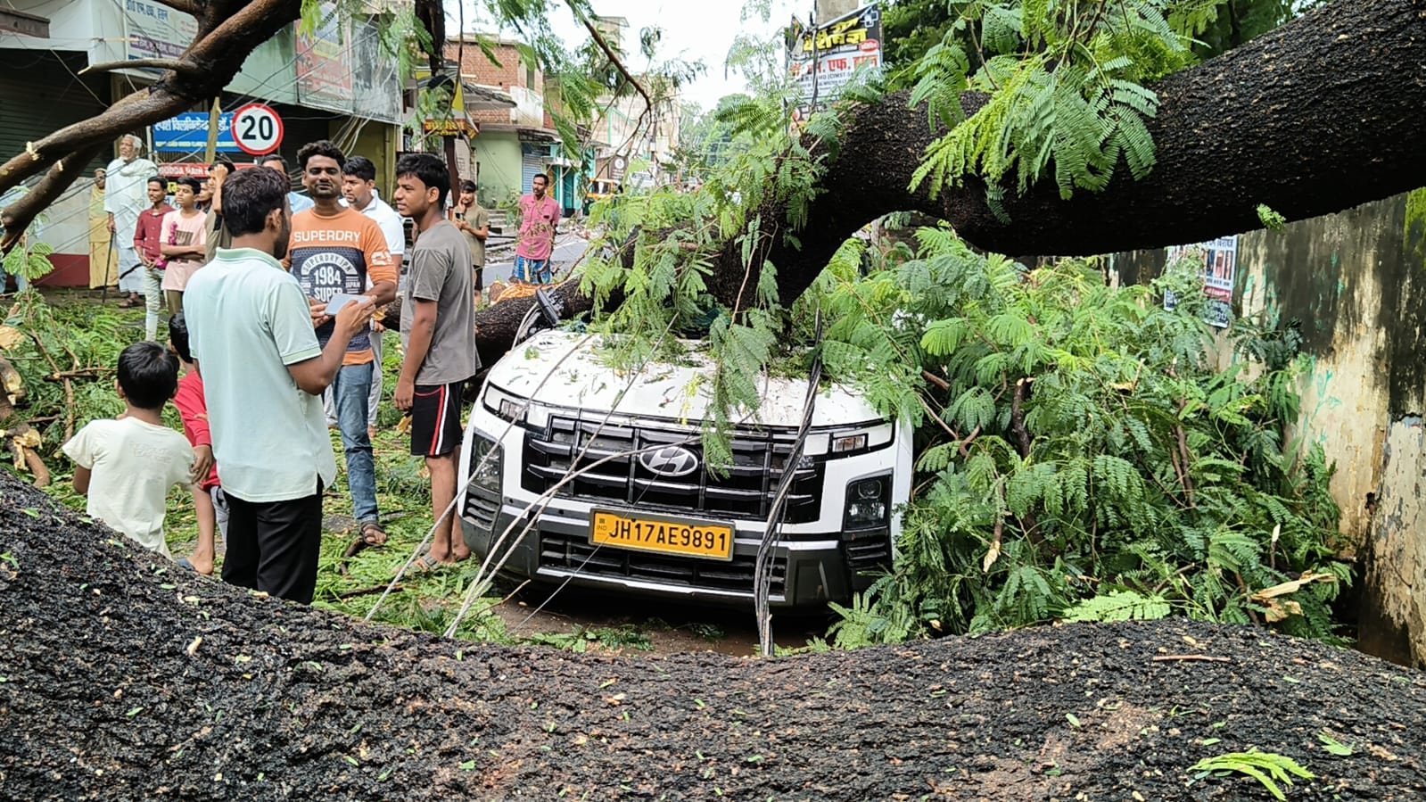 गोड्डा में बारिश का कहर! विशाल पेड़ गिरने से कार क्षतिग्रस्त, बिजली आपूर्ति ठप