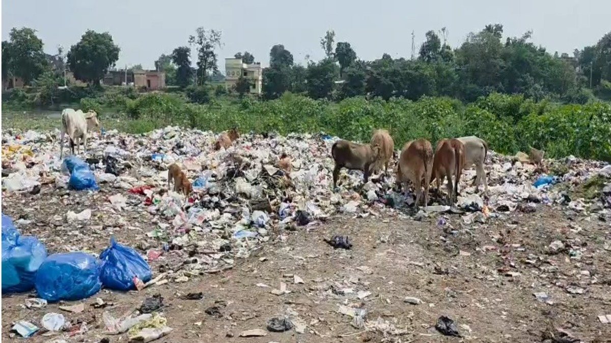 गढ़वा में 20 साल से दानरो नदी के किनारे फेंका जा रहा कचरा, NGT की जांच पर शिकायतकर्ता ने उठाए सवाल