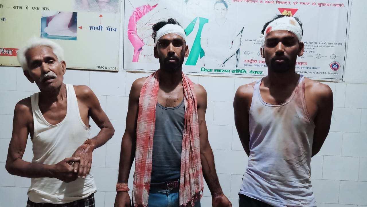 पुरानी रंजिश को लेकर दो पक्षों मे जमकर हुई मारपीट, महिला सहित 6 घायल