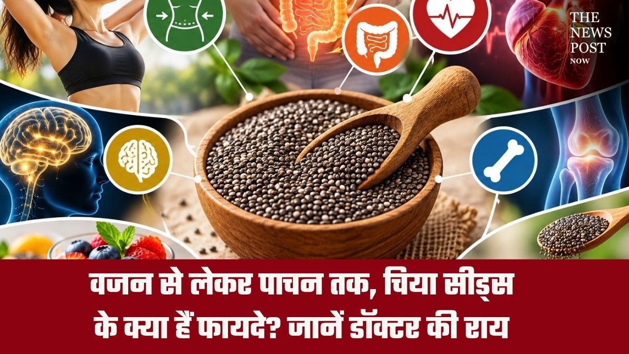 वजन से लेकर पाचन तक, चिया सीड्स के क्या हैं फायदे? जानें डॉक्टर की राय