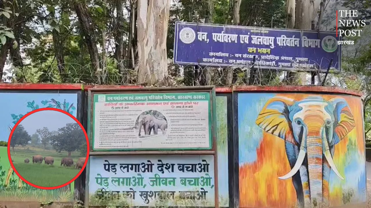 गुमला में जंगली हाथियों का आतंक! जान-माल के नुकसान पर 10 लाख का मिलेगा मुआवजा