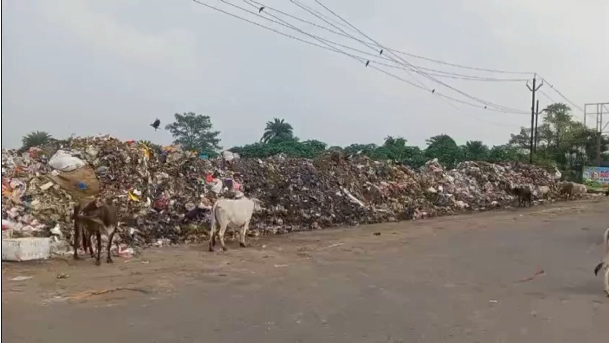 DC के आदेश को दिखाया ठेंगा! चास में खुले में कचरा डंपिंग जारी, बदबू से लोग परेशान