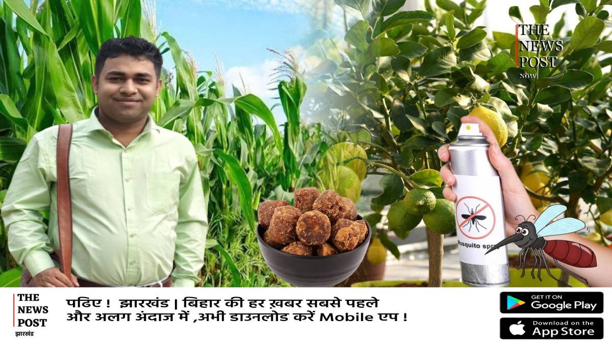 दुमका के लाल का कमाल, मक्के से गुड और प्राकृतिक सामग्री से बना दिया मच्छर भगाने का स्प्रे