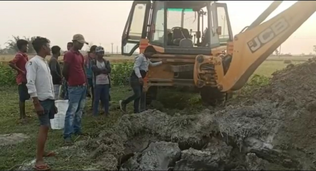 सुपौल में बर्ड फ्लू ने दी दस्तक, ग्रामीणों में हड़कंप, मारी जा रही मुर्गियां