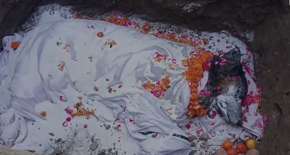 एक कुत्ते की अंतिम यात्रा :  अपने पेट को अलविदा कहने का यह अंदाज आपको रूला देगा