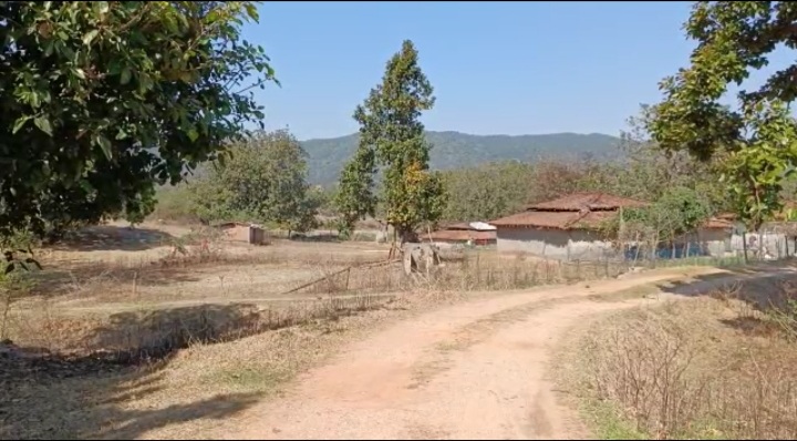 BIG BREAKING : आईईडी बम की चपेट में आने से एक ग्रामीण महिला की मौत, पुलिस अलर्ट