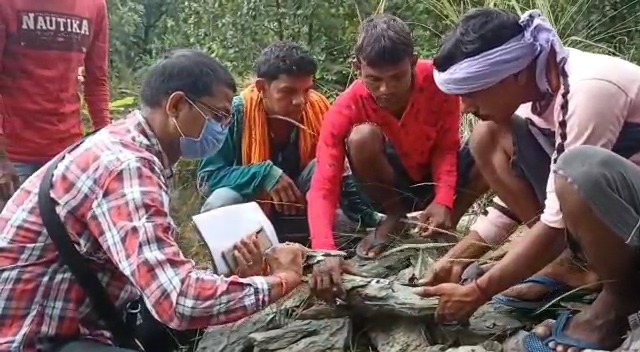 घाटशिला : नक्सल फोकस एरिया में  पन्ना रत्न का सर्वे का कार्य शुरू, तीन स्थानों पर पन्ना का है अकूत भंडार