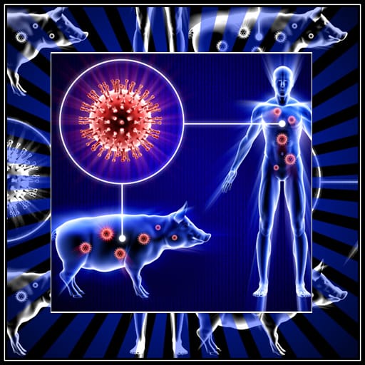 बिहार में स्वाइन फ्लू ने दिया दस्तक, झारखंड में सतर्क रहने की जरूरत 