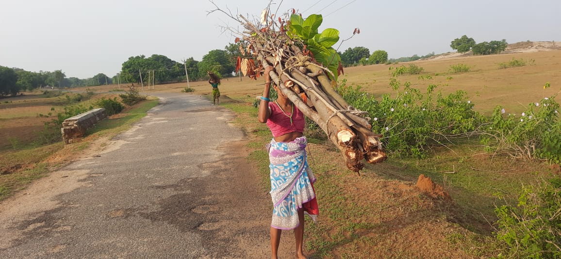 जंगल से पत्ते-लकड़ियां चुनने वाली गरीब आदिवासी महिलाओं पर FIR